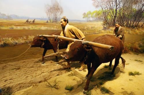 重农抑商政策在历代王朝的地位,重农抑商政策在古代的发展演变