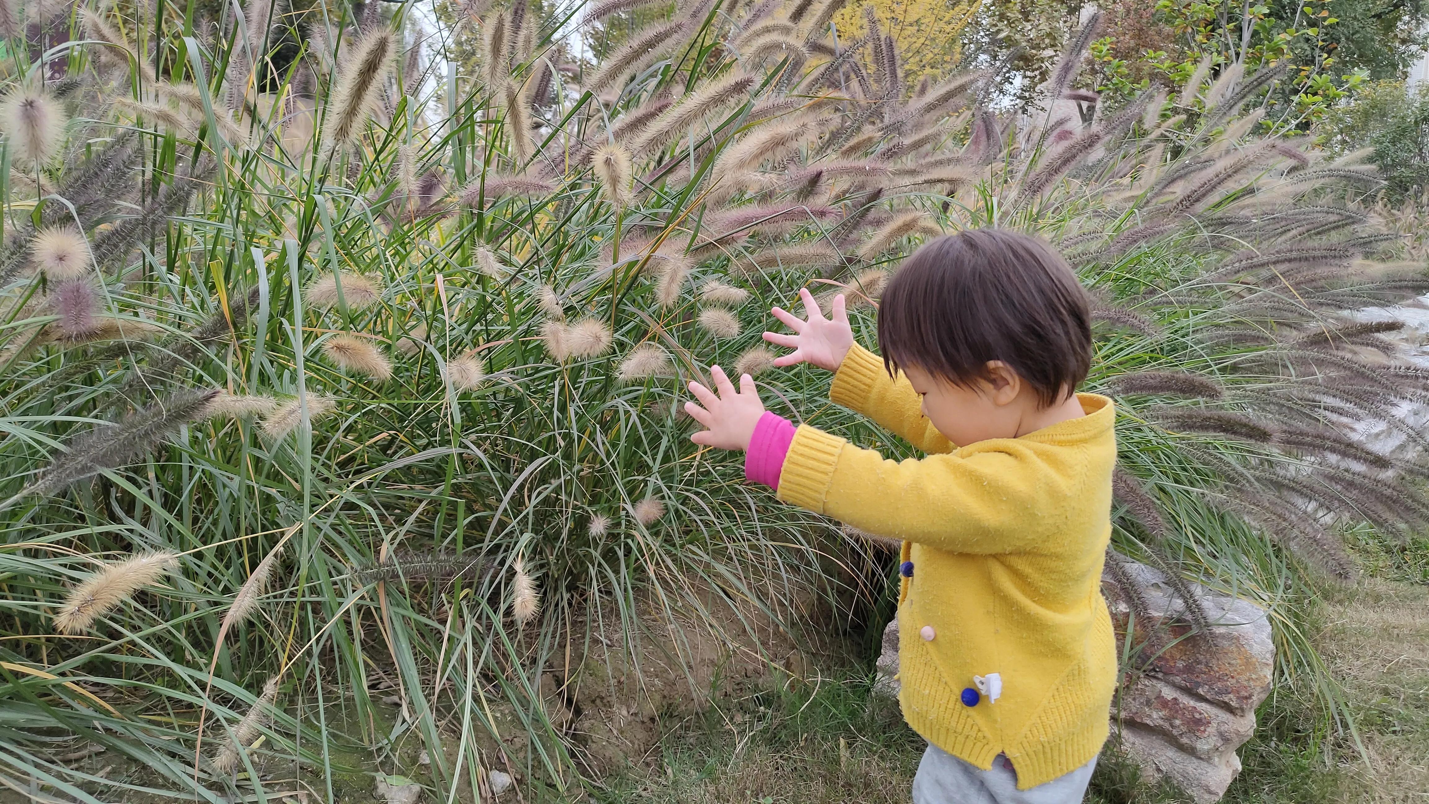 探寻西安大明宫国家遗址公园攻略,西安的大明宫遗址公园