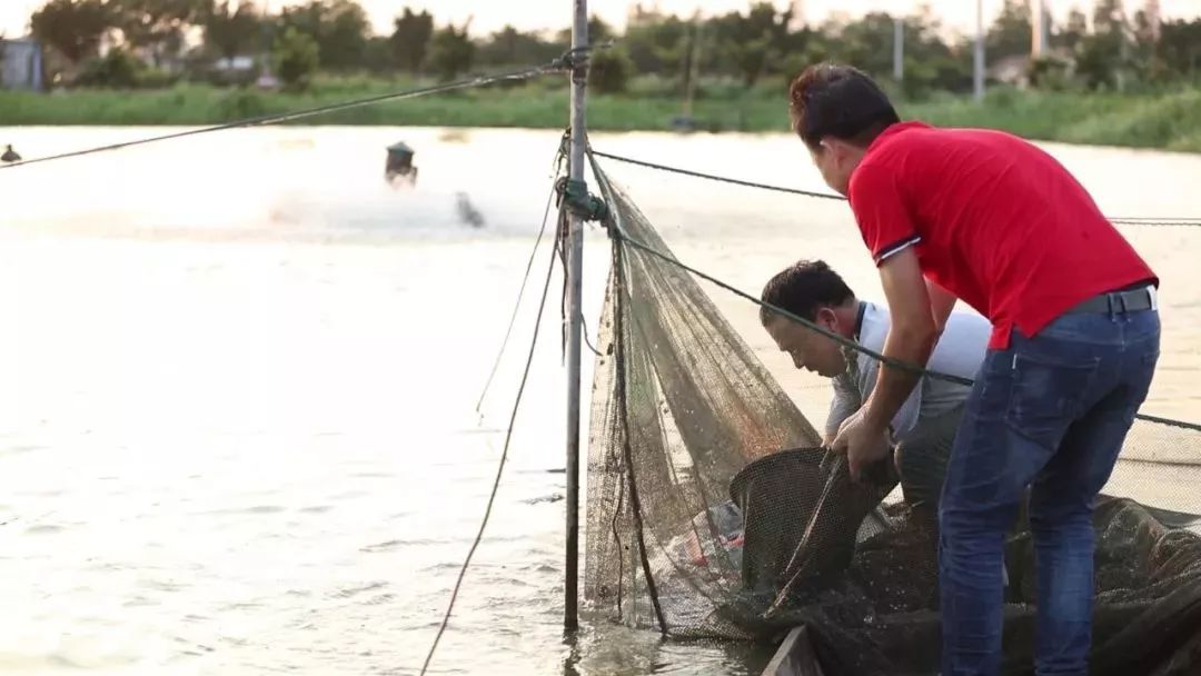 致富带头人帮扶贫困户,产业帮扶脱贫攻坚