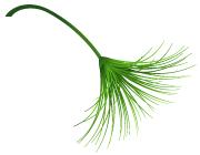 春天关于朋友的诗,送你一首有关春天的诗