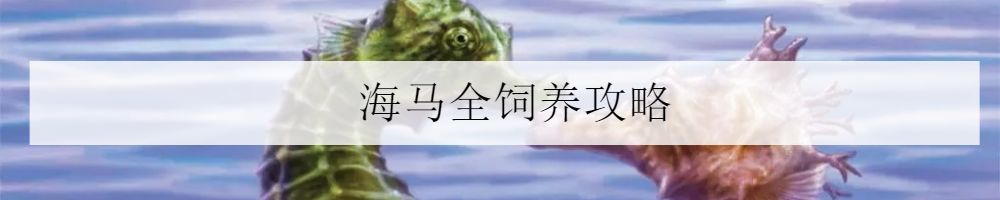 水族箱怎么增加酸度,海水鱼缸怎么配水