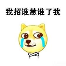 蹴鞠最强人叫什么,中国最古老的足球蹴鞠详细编法