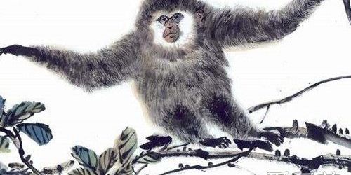 属猴人2019年害太岁是什么意思