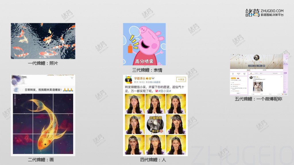 支付宝锦鲤活动怎么抽,策划支付宝锦鲤活动