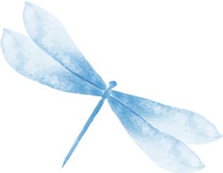 乙肝两对半核心抗体及e抗体阳性,乙肝两对半核心抗体阳性大于10