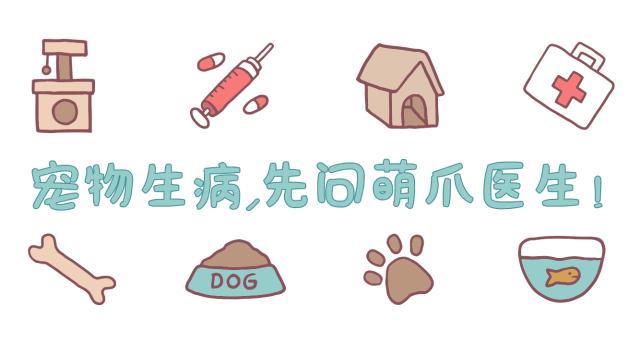 奶油蛋糕猫可以吃吗,猫吃了人吃的蛋糕会怎么样