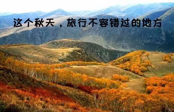 大青山惊艳风景,赤峰克旗大青山秋意浓