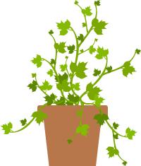 为了孩子吃上可口的饭菜,为了孩子吃到安全的饭菜