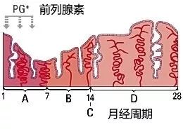 女票来姨妈了我该说什么,女生姨妈痛怎么和男朋友说