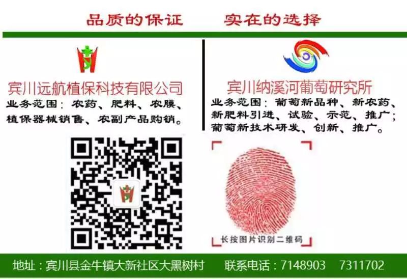 宾川地震带在哪,宾川地震最新消息