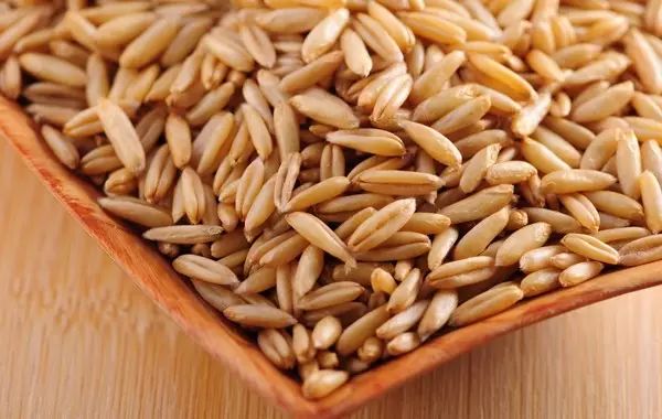 当潮汕话遇上雷州话,当潮汕话遇上日语粤语普通话