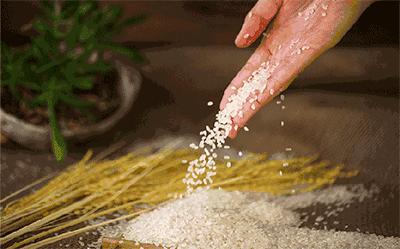 麻范儿好物|大米居然有这奇效!用它20天,皮肤白得发亮