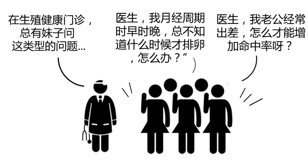 如何抓准排卵期备孕,备孕后如何提前预测排卵期