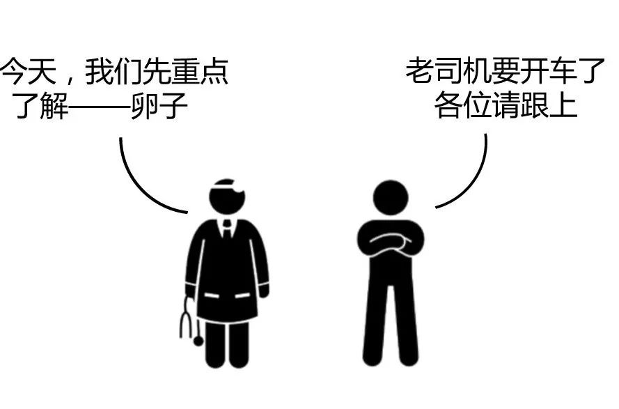 如何抓准排卵期备孕,备孕后如何提前预测排卵期