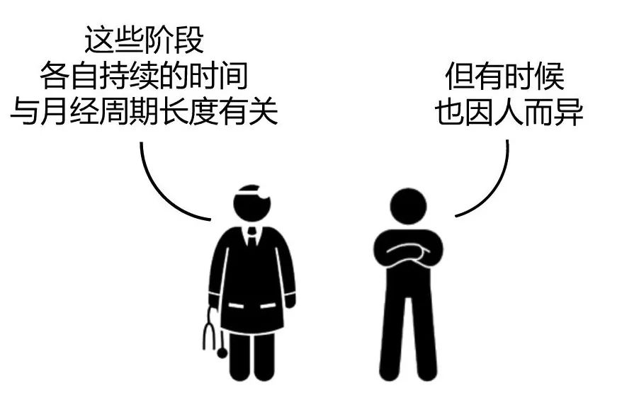 如何抓准排卵期备孕,备孕后如何提前预测排卵期