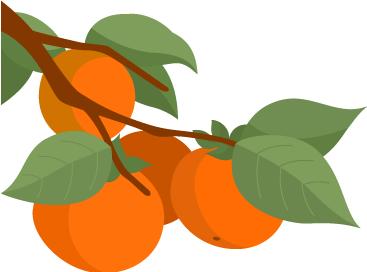 没看错，这场比赛选手平均年龄超70！