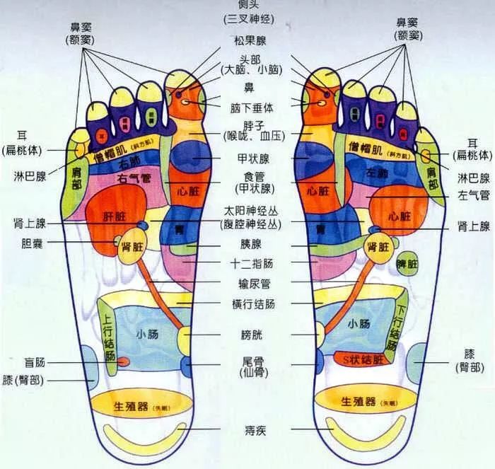 养生瘦腿攻略跟着吴昕泡脚吧,吴昕泡脚减肥药包推荐正品