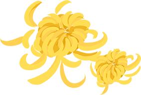 孝敬老人情暖重阳节,孝老爱亲情暖重阳图片