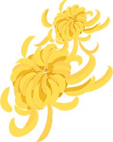 孝敬老人情暖重阳节,孝老爱亲情暖重阳图片