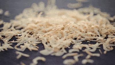 请问虾是发物吗,海水虾与淡水虾都属于发物吗