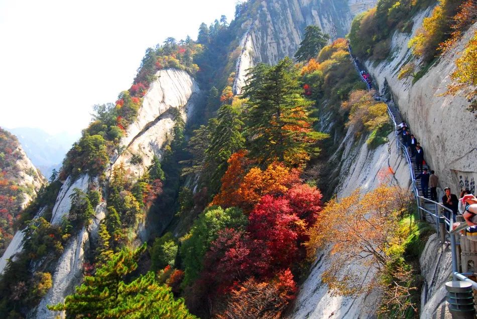 华山北峰到中峰都是险道吗,华山旅游必须走险道和栈道吗