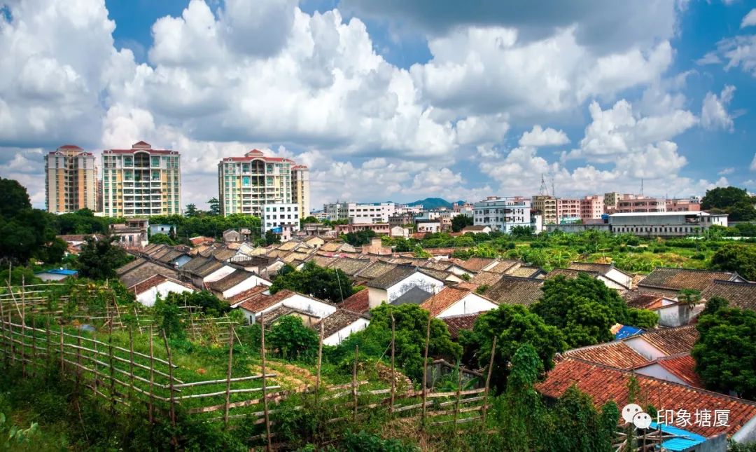 震撼心灵的大片！带你穿越百年塘厦，寻找塘厦历史传承的文化密码！