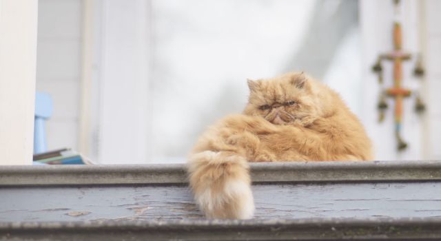 手足口刚刚好会二次感染吗,手足口属于哪类传染病