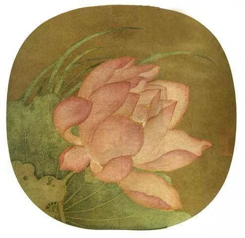 故宫百年荷花开花,北京故宫荷花开了么