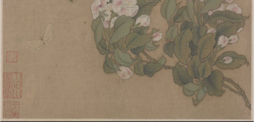 故宫百年荷花开花,北京故宫荷花开了么