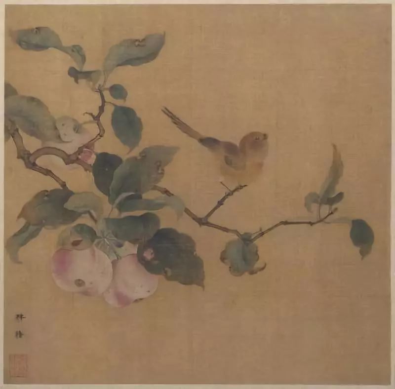 故宫百年荷花开花,北京故宫荷花开了么