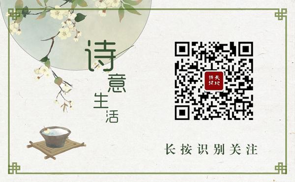 十二生肖哪个生肖是吉数,十二生肖超详细分析