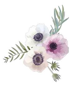 一周全国景区网络评价报告,三清山旅游评价