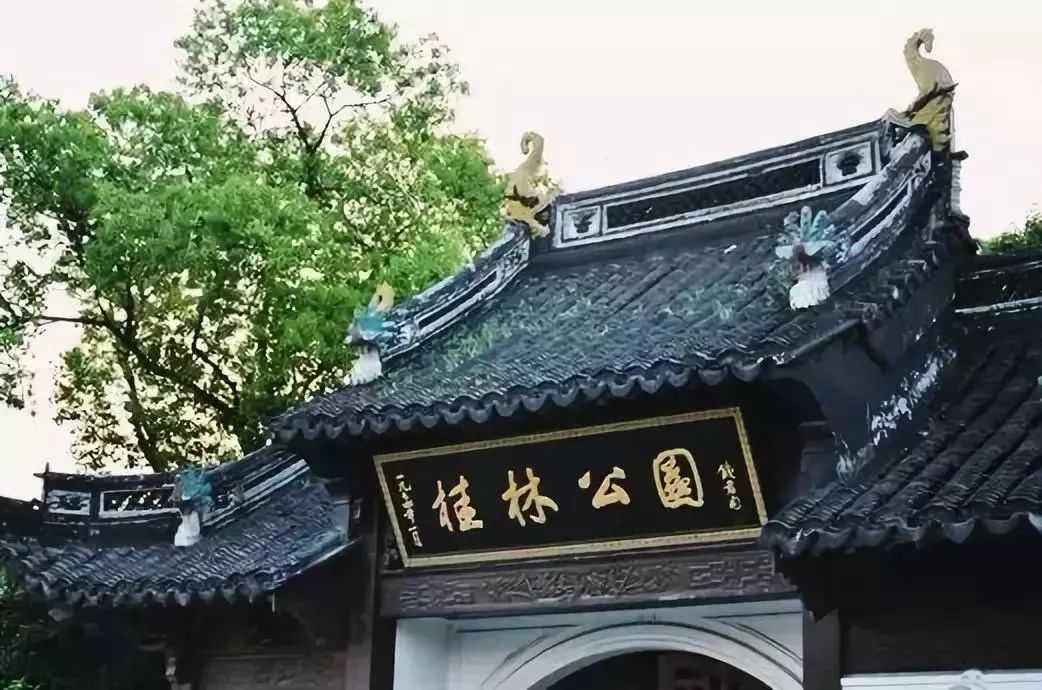 上海赏桂花好去处,江浙沪赏桂哪里去