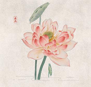 群里发红包怎么抢得多,群里发红包没人抢怎么办