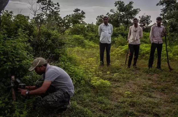 致死十余人!悍虎食人成患民兵无奈使出绝招:CK男士香水