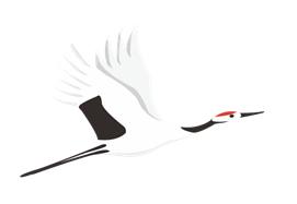 娓呴鏂囧鎶曠,娓呴寰佹枃寰佺