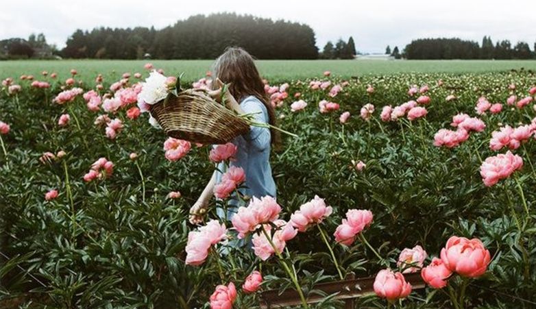 洗面奶香奈儿30毫升,洗面奶界的爱马仕