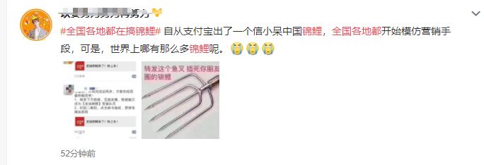 锦鲤骗局细思极恐,锦鲤骗局揭秘最新消息