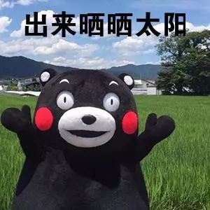 上海出发2-3天小众短途旅游推荐,上海出发三天两夜旅游推荐地方