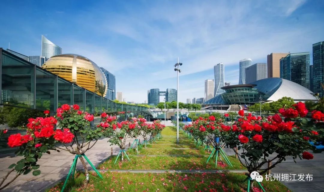 从一数到一百万,从一数到万亿