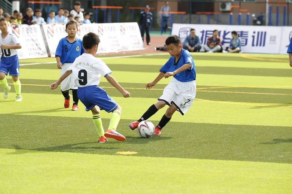 嘉兴市秀洲区区长杯足球联赛,区长杯足球比赛报道