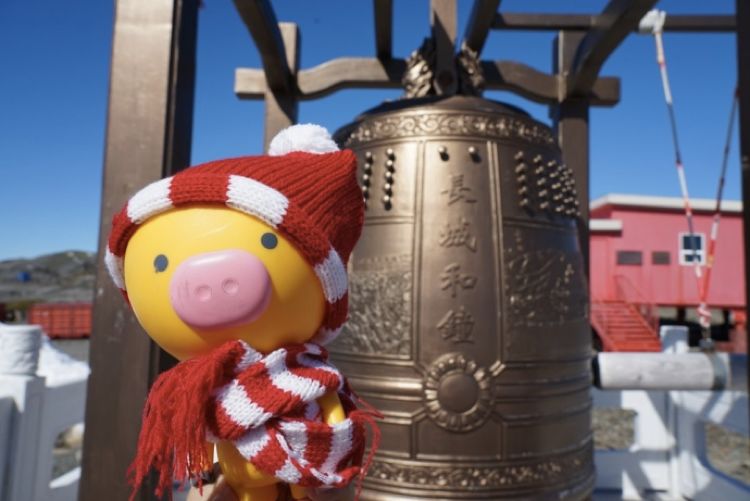 飞猪南极游轮,邮轮南极飞猪