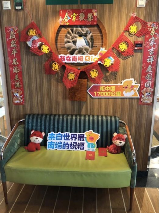 飞猪南极游轮,邮轮南极飞猪