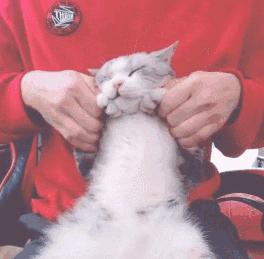 好嗨哟让音乐燃爆全场,好嗨哟歌曲100首dj版