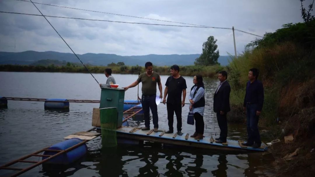 全面清理养殖网箱,水域取缔网箱养殖