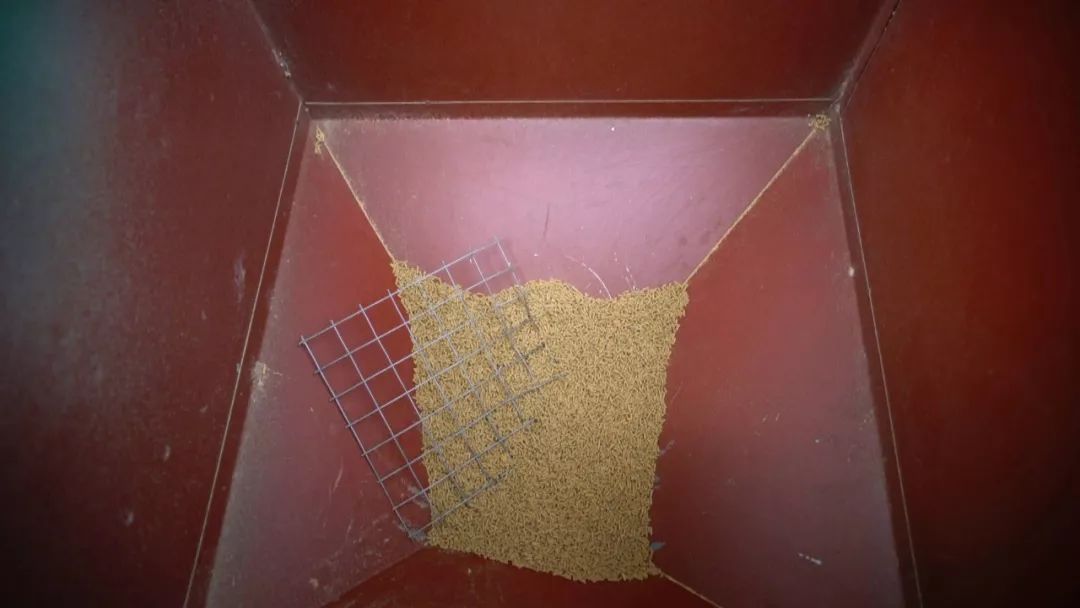 全面清理养殖网箱,水域取缔网箱养殖