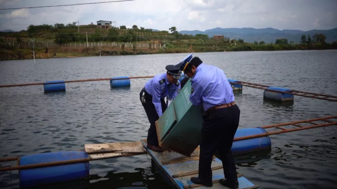 全面清理养殖网箱,水域取缔网箱养殖