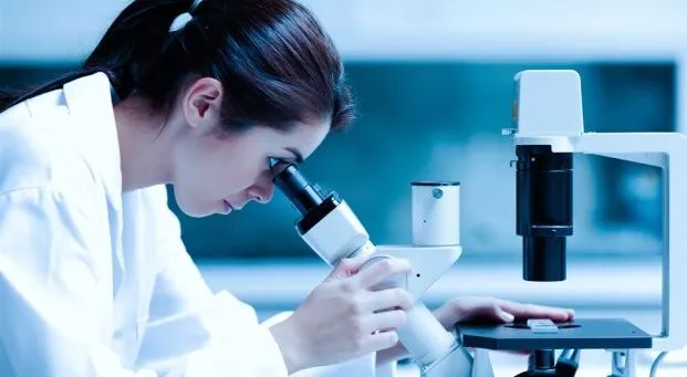 面霜家庭大容量,面霜日常护肤大容量推荐