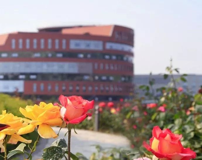 南京市三胞集团总部,南京新街口三胞集团