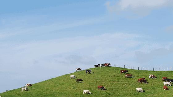 去美国别再惦记着潮牌爆款,下面这种才是真正的美式风潮精髓
